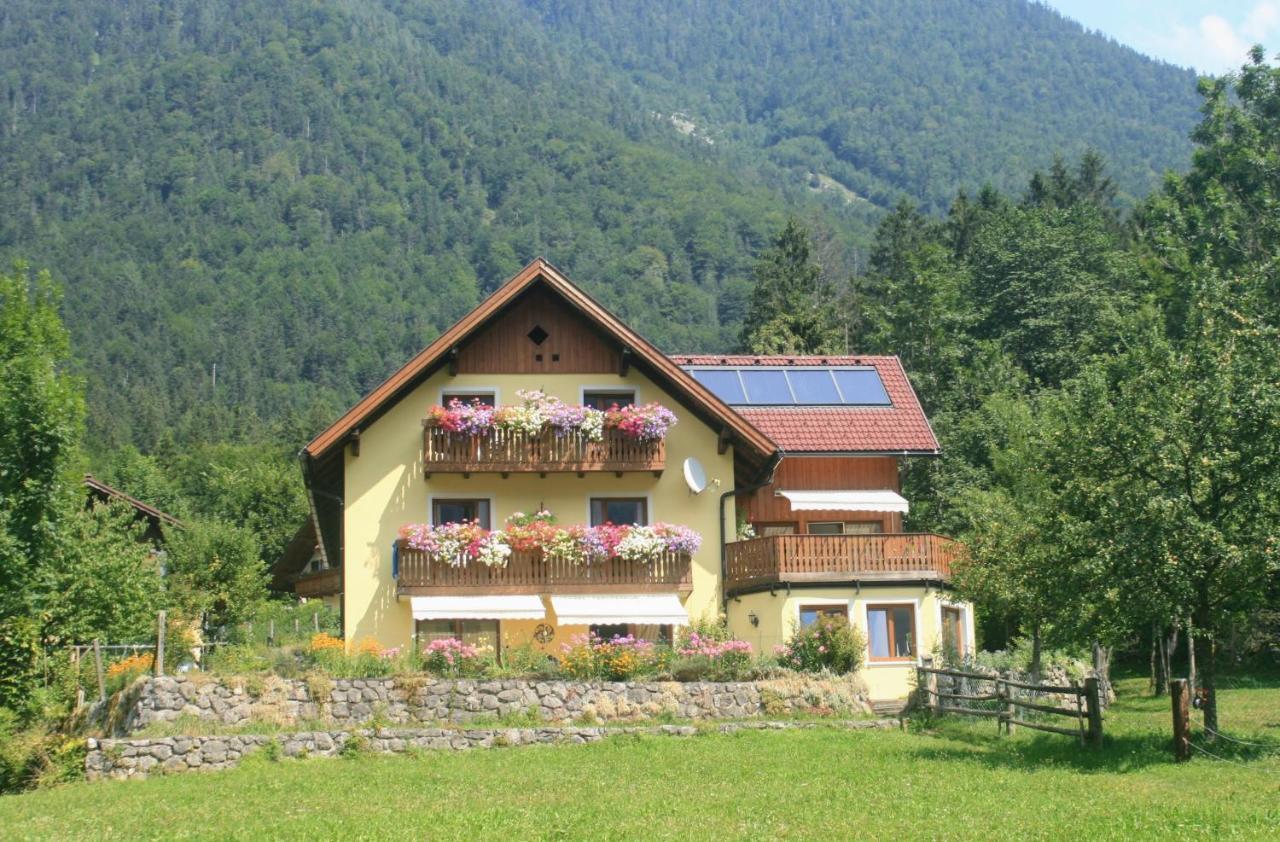 Haus Hepi Hotel Obertraun Luaran gambar